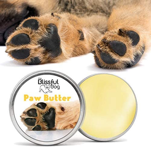 The Blissful Dog Paw Butter for Your Dog's Rough and Dry Paws, 2-Ounce