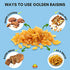 Amrita Golden Raisins 1 lb | No Added Sugar, Naturally Sweet, Gluten Free Dried Sultanas, Kishmish | Packed Fresh in Resealable Bags | Yellow Raisins, White Raisins, Vegan Snacks, Healthy Snacks