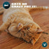 Our Pets Premium Catnip - 1.25 oz Jar of High Potency Catnip - 100% North American Grown