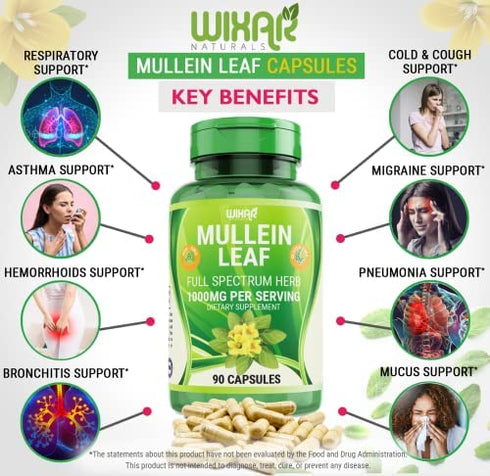 WIXAR NATURALS Mullein Leaf Capsules - 90 Capsules - Herbal Supplement Supports Healthy Respiratory Function & Mucous Membranes - 1000 mg - Natural Mullein for Lung Cleanse Support