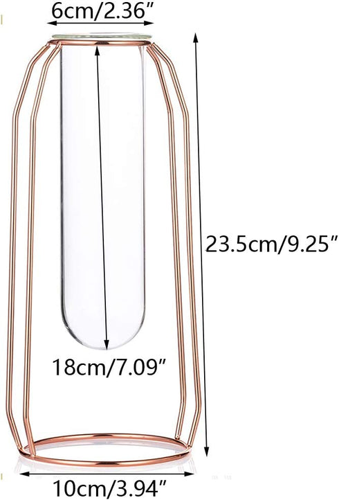 NUPTIO Vases Set of 2 Glass Vases with Metal Frame 23.5cm Height, Modern Rose Gold Frame Cylinder Clear Vase Planter Terrariums, Flower Holder Decorations for Wedding Living Room, Office, Party