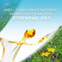 Air Wick, Plug in Scented Oil 2 Refills, Fresh Waters, 1.34 Oz (Pack of 2)