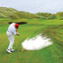 Shanker Golf Exploding Balls - Prank Balls That Explode on Impact - Funny Joke for Golfers (Sleeve of 3, Novelty)