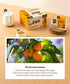 Ssanggye Persimmon Leaf Tea 1.0g x 40 TB, 100% Natural Herbal Tea Boost Metabolism Vitamin Mineral Content Anti-Inflammation Soft Taste by Korean Tea Master Mr. Kim