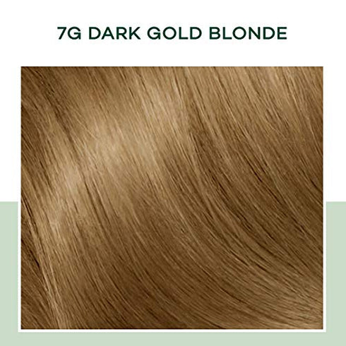 Clairol Natural Instincts Demi-Permanent Hair Dye, 7G Dark Golden Blonde Hair Color, Pack of 1