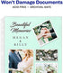 Avery Horizontal Photo Pages, Acid Free, 4 x 6 Inches, Pack of 10 (13406)