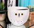 Ebros Whimsical Ceramic White Owl With Spotted Chest Ramen Udong Noodles Bowl and Chopsticks Set for Asian Dining Soup Rice Gourmet Meal As Taste of Asia Collection of Bowls Decor Kitchen