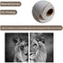 Black and White Theme Wild Animals Lioness Male lion female lion Wall Paintings Set of 2 Wall Art for Bedroom Wall Canvas Decor Wall Art Print Poster for Office Living Home Decor 8X10 inches No frame