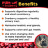 Diggin’ Your Dog Firm Up Pumpkin for Dogs & Cats with Cranberry, 100% Made in USA, Pumpkin Powder for Dogs, Digestive Support, Apple Pectin, Fiber, Healthy Stool, 4 oz