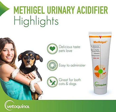 Methigel Urinary Acidifier 4.25 Oz Tube