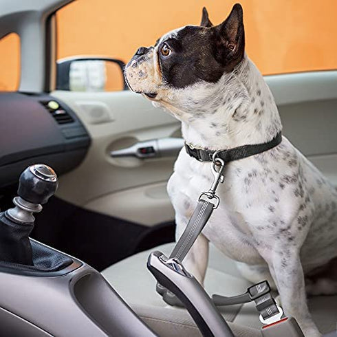 Seat Belt for Dogs with Elastic Bungee Buffer | Car Travel Accessories for Dogs Adjustible, Elastic (Grey)