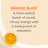 Citrus Magic Natural Odor Eliminating Air Freshener Spray, Orange Blast, 3-Ounce, Pack of 3