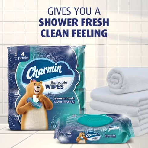 Charmin Flushable Wipes, 40 Flushable Wipes Per Pack