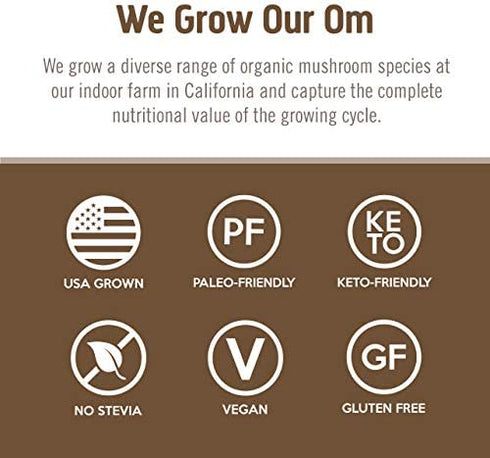 Om Mushroom Superfood Brain Fuel Plus Mushroom Powder Drink Mix, Mocha Flavor, Single Serve, 10 Count, Lions Mane & Rhodiola, Memory & Focus Support Supplement