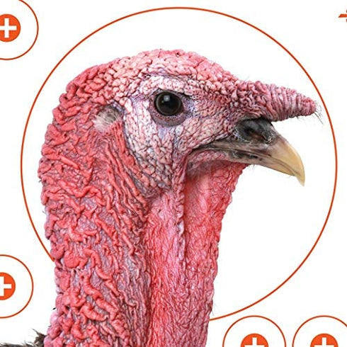 EZ Aim™ Paper Shooting Target Turkey Target by Allen®, 12 inch x 12 inch, 6 Pack, Multicolor, One Size (15322)