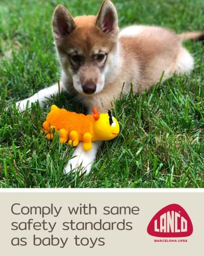 Sensory Caterpillar - Squeaky Dog Toys - Soft, Natural Rubber (Latex) - for Puppies, Small Dogs & Medium Dogs - Complies with Same Safety Standards as Children’s Toys (1 Pack)