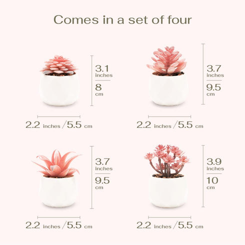 VIVERIE Faux Succulents in White Ceramic Pots (Set of 4) - Mini Life-Like Artificial Succulent Plants for Office Desk, Home Shelves, and Other Decoration Spaces