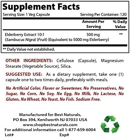 Best Naturals Elderberry Sambucus Nigra 5000mg Equivalent 120 Veg Capsules