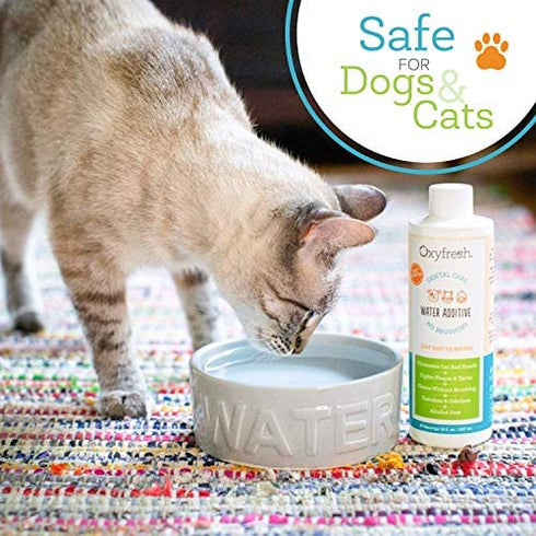 Oxyfresh Premium Pet Dental Care Solution Pet Water Additive: Best Way to Eliminate Bad Dog Breath and Cat Bad Breath - Fights Tartar & Plaque - So Easy, Just Add to Water! Vet Recommended 8 oz.