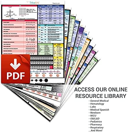 BadgeGuru by Tribe RN - 52 Cheat Sheets on 26 Nurse Badge Cards - Designed by Nurses, for Nurses - Essential for Nurses and Nursing Students - Bonus Access to Our Digital Resource Library - Vertical