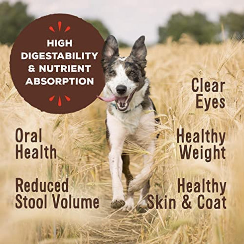 Primal Freeze Dried Dog Food Nuggets Venison Formula, Crafted in The USA Grain Free Raw Dog Food, 5.5 oz