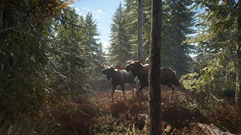 theHunter: Call of the Wild - Xbox One