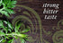 Buddha Teas Organic Wormwood Tea - OU Kosher, USDA Organic, CCOF Organic, 18 Bleach-Free Tea Bag