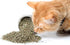 Purple Haze Catnip, Premium Blend Safe for Cats, Infused with Maximum Potency Your Kitty is Sure to Go Crazy for (1 Cup)