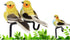 Artificial Bird Ornaments 12Pcs Cute Artificial Feather Bird Colorful Simulation Foam Bird for Crafts, Christmas Tree and Seasonal Displays and Wreaths