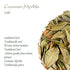 Myrtle Dried Herb Leaf - Loose Leaves From Common Myrtle Myrtus Communis Myrtle Dry Leaf Myrtle Leaf Myrtle Dry Leaves Myrtle Leaves Dried 100g
