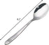 Callyne 12-Piece Stainless Steel Kitchen Dinner Spoon
