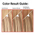 L'Oreal Paris Couleur Experte Color + Highlights in a Flash, Medium Iridescent Blonde - Ice