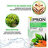 Tipson Organic Turmeric Caffeine Free Herbal Tea - Organic Peppermint and Cloves - 25 Foil Enveloped Double Chambered Bags - Keto/Paleo - Basilur