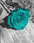 Gray Black Wooden Background Art Print Inspirational Quote Modern Art Painting Set of 3 (8”X10” Canvas Picture),Turquoise Teal White Rose Antique Plant Wall Art Poster for Bedroom or Office, No Frame
