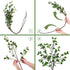 Whonline 43.3inch Artificial Greenery Stems, 2pcs Artificial Greenery Faux Branches for Vase Filler, Faux Ficus Twig with Green Eucalyptus Leaves for Home Office Decor