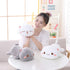 Cat Stuffed Animals, Soft Kitten Plush Pillow Gifts Toy for Kids, Girls, Grey Round Eyes 13.7"