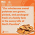 Davie's Sweet Potato Dog Treats, Made in The USA, High in Fiber, Grain Free, Vegan, No Preservatives, Vegetarian Alternative to Rawhide Chews, Rich in Vitamins, Large 0.5 lb. Bag