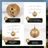 World Tech Toys Golden Snitch Harry Potter IR UFO Ball Helicopter, Multi