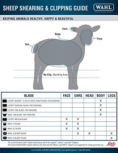 WAHL Professional Animal #10W Extra Wide Ultimate Competition Series Detachable Blade with 1/16-Inch Cut Length (#2377-500),Black