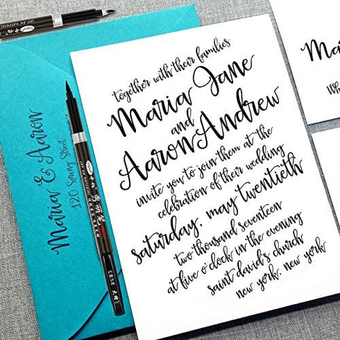 Rilanmit Calligraphy Pens Set for Beginners, Hand Lettering Pens Brush Drawing Markers Kits Chinese Japenese Pens Black Ink for Journaling, Writing, Art Drawing, 3 Size(Pack of 6)