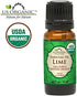 US Organic Lime Essential Oil - Certified Organic, Steam Distilled - W/ Euro droppers (More Size Variations Available) (10 ml / .33 fl oz)