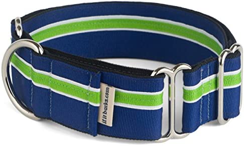 If It Barks - 1.5" Martingale Collar for Dogs - Adjustable - Nylon - Strong and Comfy - Ideal for Training - Made in USA - Large Finley