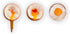 Brainstream A004690 BeepEgg Singing Floating Egg Timer, Pirate