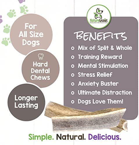 Nature Gnaws Elk Antlers for Large Dogs - Premium Natural USA Antler - Long Lasting Dog Bones for Aggressive Chewers - Mix of Split and Whole - 5-8 Inch
