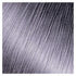 Kiss Express Semi-Permanent Hair Color 100mL (3.5 US fl.oz) (1 Count, Platinum)