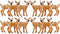 RESTCLOUD 12Pcs Deer Figurines Cake Toppers, Deer Toys Figure, Small Woodland Animals Set of 12 Fawn