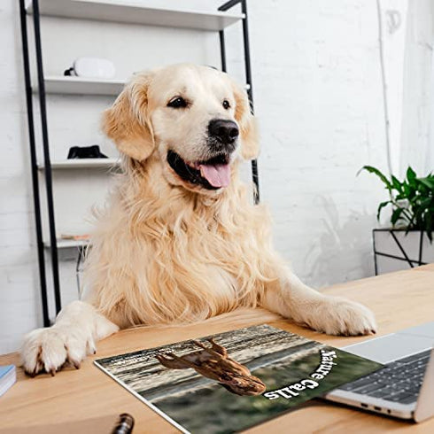 2023 Wall Calendar - Dog Pooping Calendar 2023-2024 from January 2023 - June 2024, Funny Dog Calendar Gag Gifts,11" x 17" (Open), 11" x 8.5"(Closed), Perfect 2023-2023 Calendar for White Elephant Gifts Funny