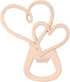Double Heart Bottle Opener Wedding Favors And Gifts with Exquisite packaging Box Wedding Gifts For Guests Wedding Baby Shower Souvenirs Party Supplies 12pcs WeddParty(Double Heart)