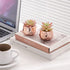Artificial Plants Desk Fake Succulents Indoor Decor Office Room Decoration Small Tiny Realistic Plants in White Ceramic Potted (Pink-Gold)