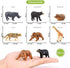 Volnau Mini Safari Animal Toys Figures 12PCS Wild Figurines Miniature for Toddlers Kids Christmas Birthday Gift Plastic Preschool Pack